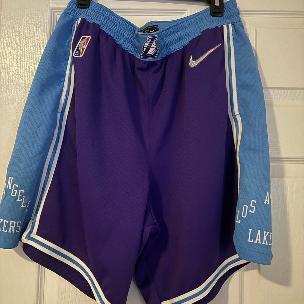 Nike Purple and Blue Performance Basketball Shorts